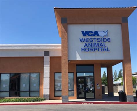 vca hospitals near me|24 hour animal hospital near me.